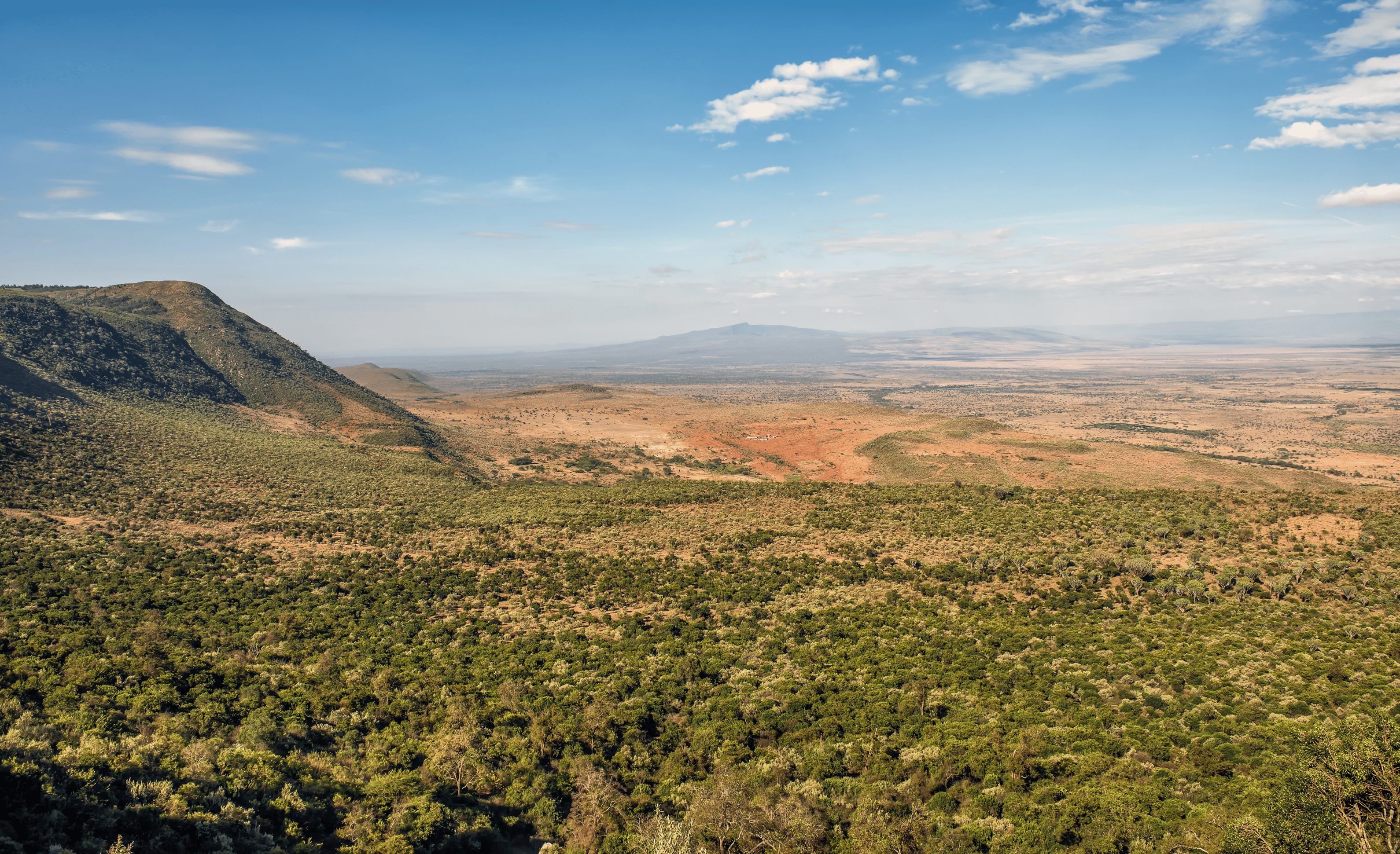 Kenya Conservational International Canva