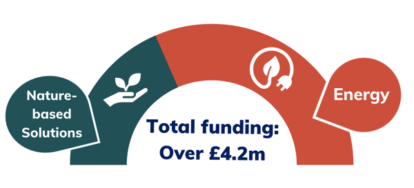 Screen Shot 2021-12-10 at 9.16.25 PM