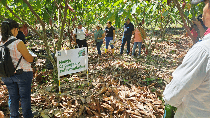 Project photos LATAM-59-E3 - Colombia project