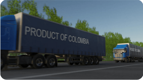 Screenshot 2023-03-02 135346