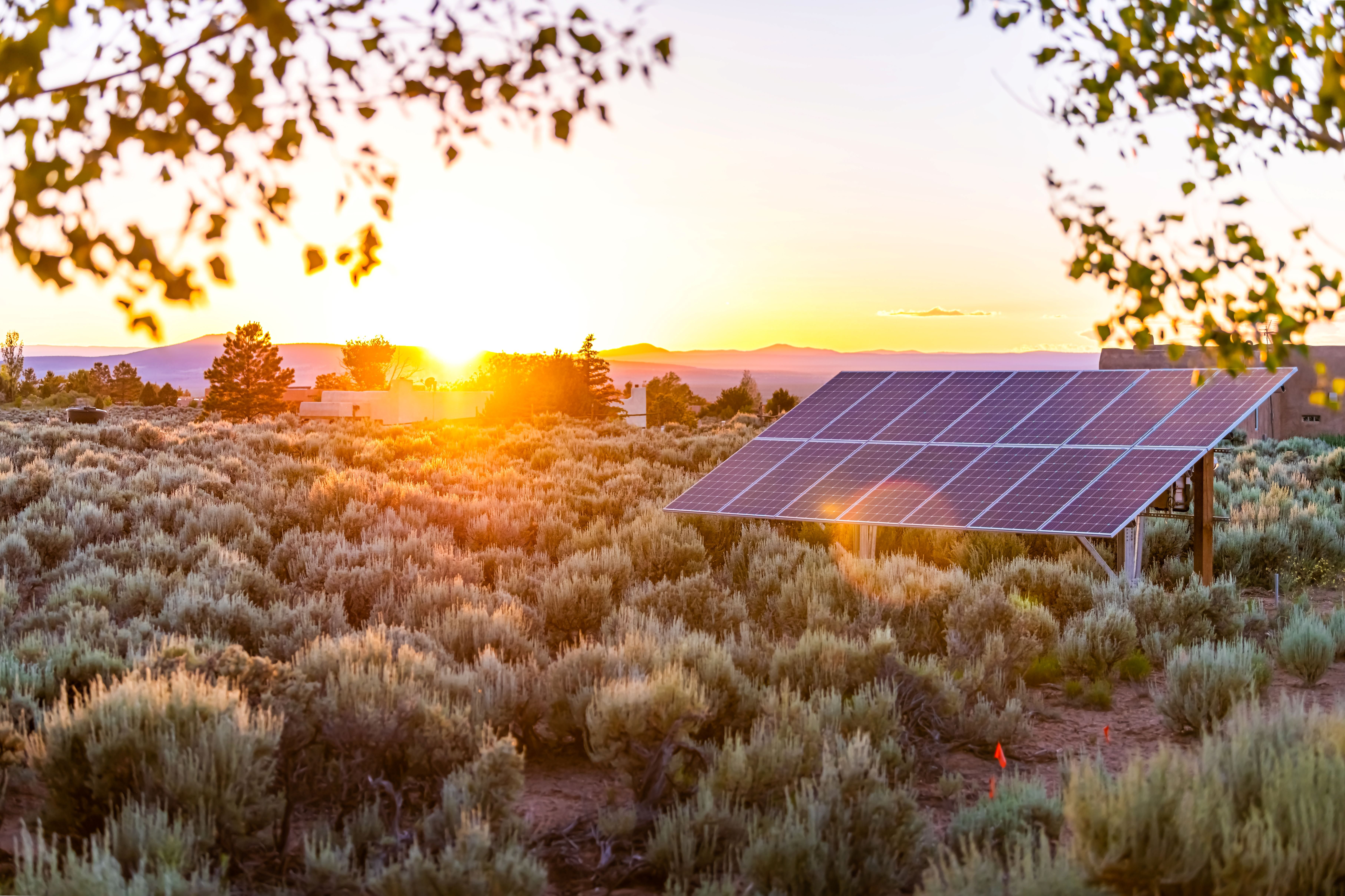 Solar panels-Mex-shutterstock_1848910309-S