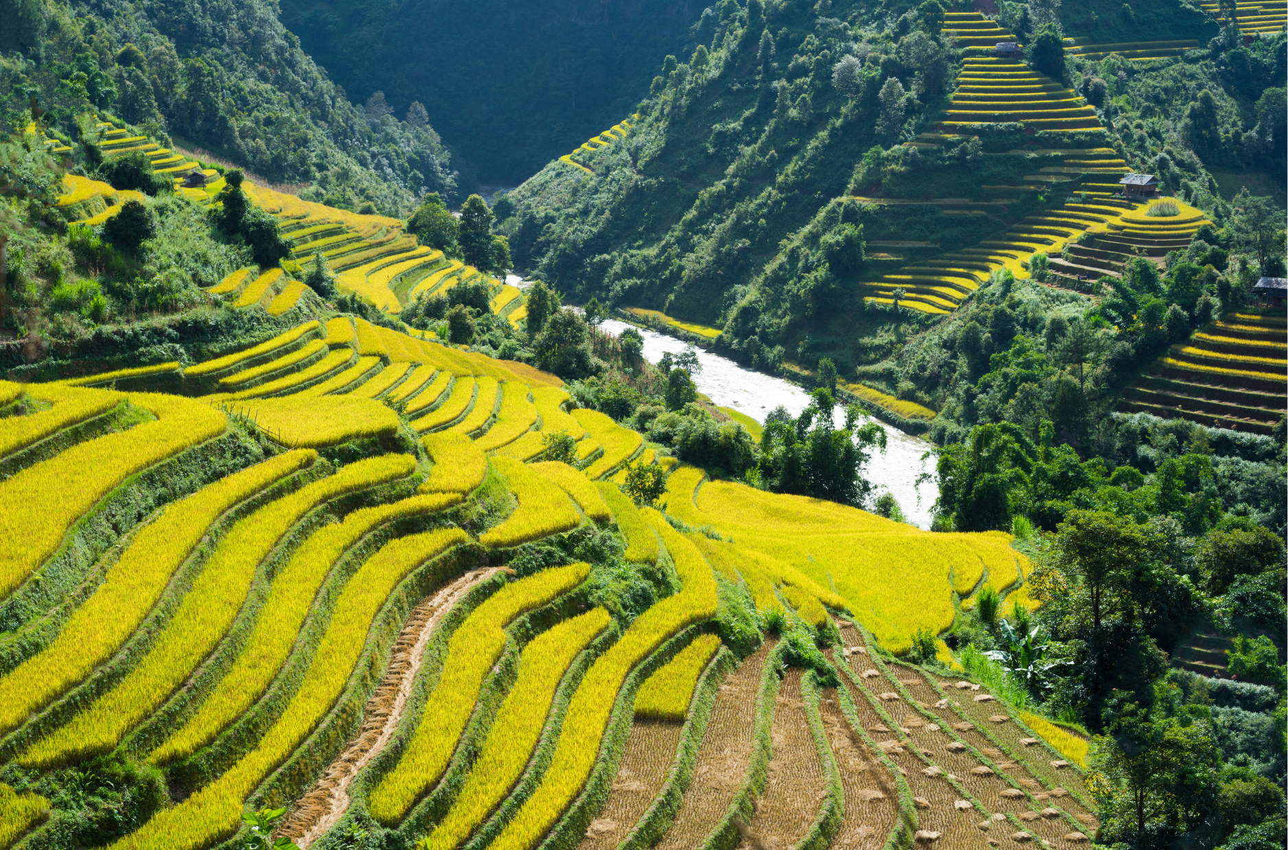 ASEAN nature