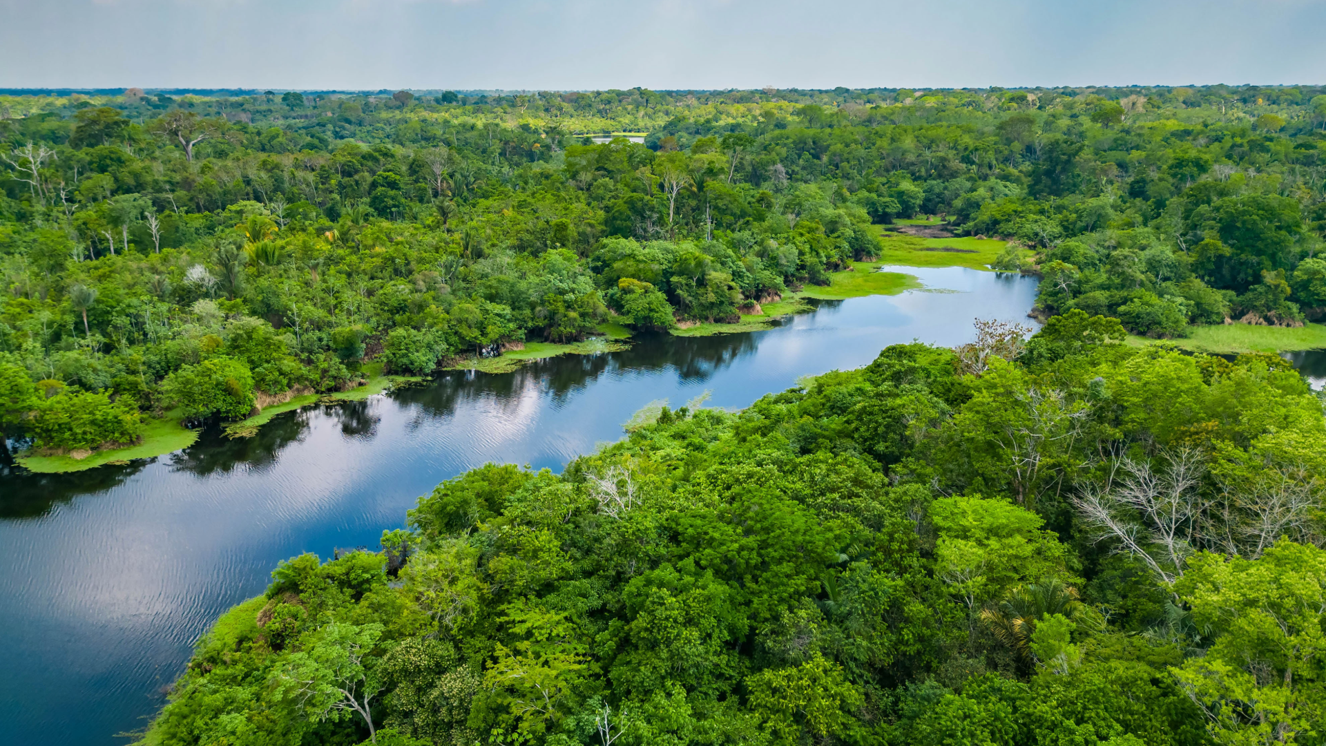 CfP Brazil Climate Policy 2025